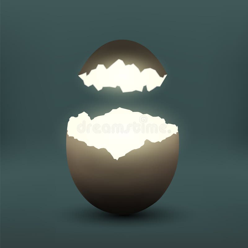 Broken chicken egg