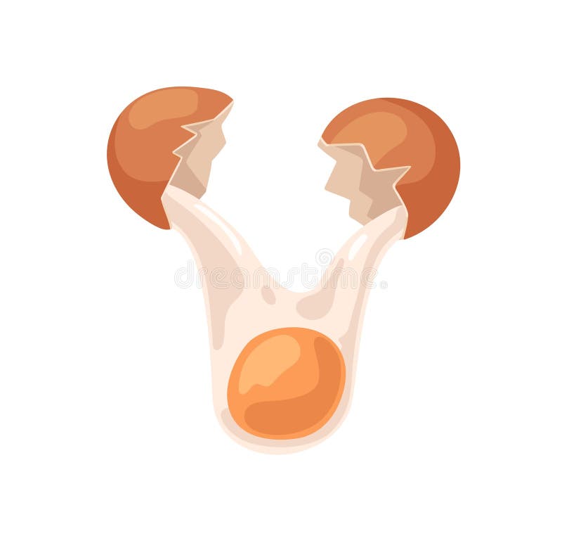 Broken Chicken Egg with Raw Fresh Liquid Yellow Yolk and Protein Flowing, Falling Down. Breaking