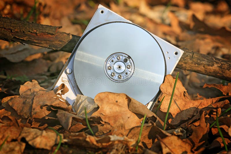 Broken computer hard drive in forest royalty free stock image