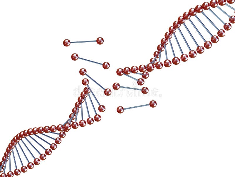 Broken dna stock illustration. Illustration of chain, biotechnology