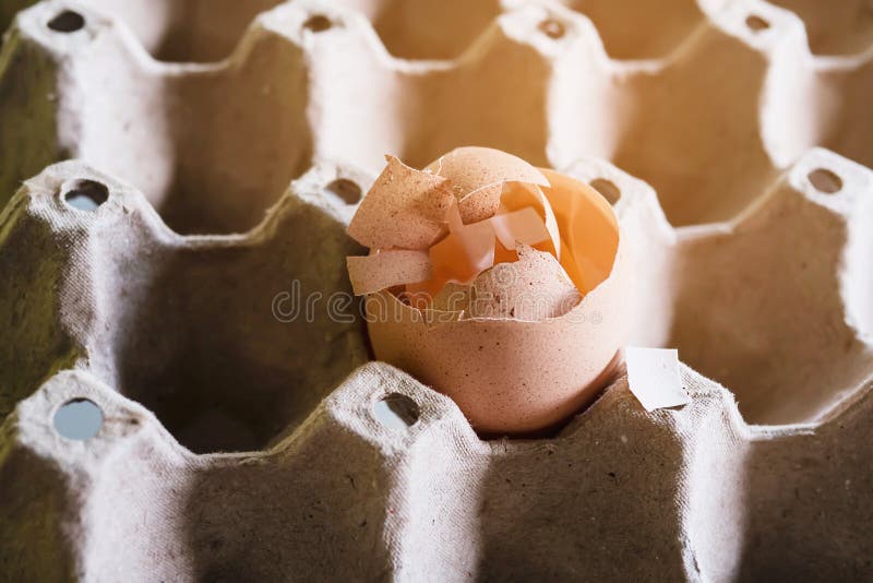 Spoiled egg hi-res stock photography and images - Alamy