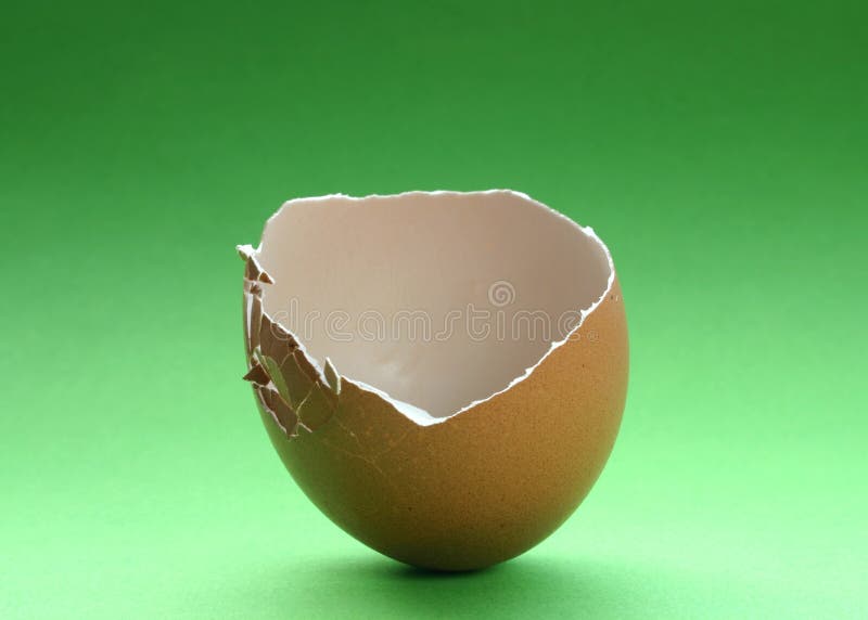 Broken eggshell 3