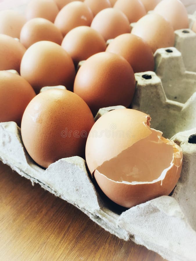 Eggshell in Paper Tray, Black Background Stock Photo Image of bird, feather 181697016