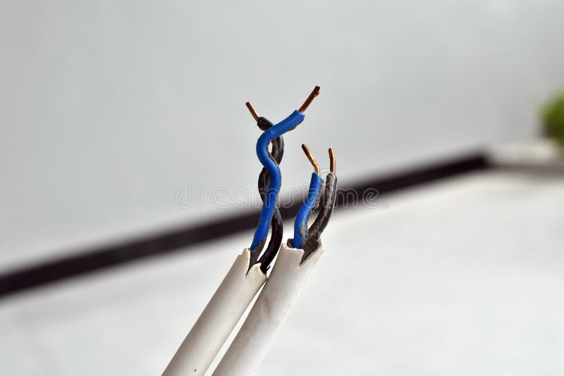 Broken and Exposed Power Cables Stock Image Image of unused, broken