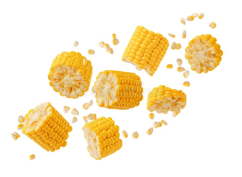 Broken Flying Sweet Corn Cob with Grains Isolated on White Background ...