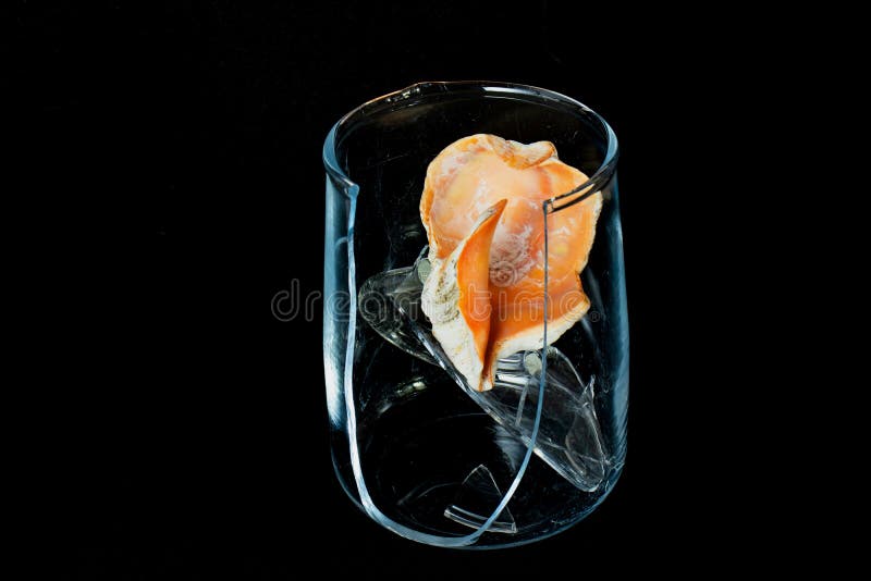 https://thumbs.dreamstime.com/b/broken-glass-cup-seashell-isolated-black-background-broken-glass-cup-seashell-isolated-black-background-205943061.jpg