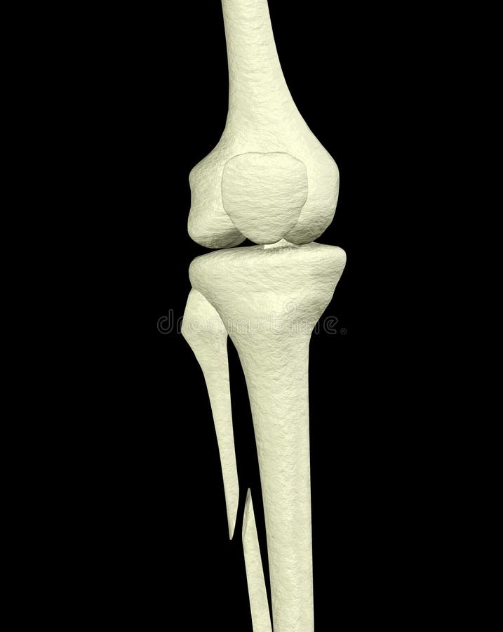 Broken Leg royalty free illustration