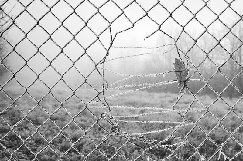 Metal mesh pattern fence royalty free stock images