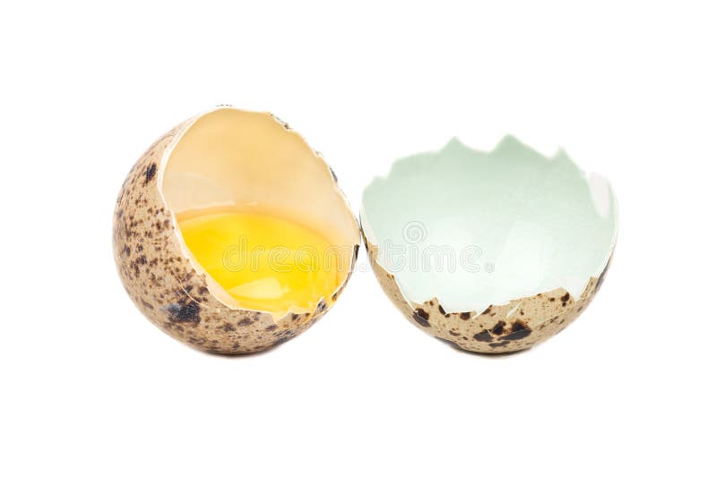 Broken quail egg stock image. Image of cholesterol, color 90044151