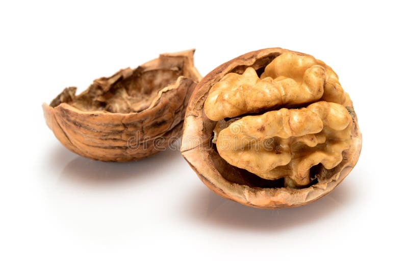 Broken ripe walnut with full kernel and shell, close up macro, isolated on a white background. stock image Broken ripe walnut with full kernel and shell, close up macro, isolated on a white background. stock image