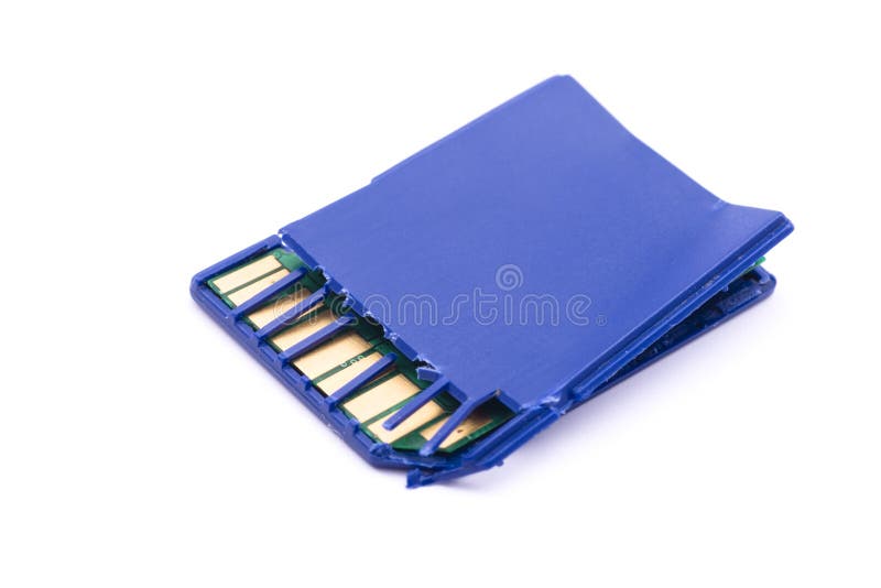 SD Memory Card in Plastic Case Isolated on White Stock Image Image of