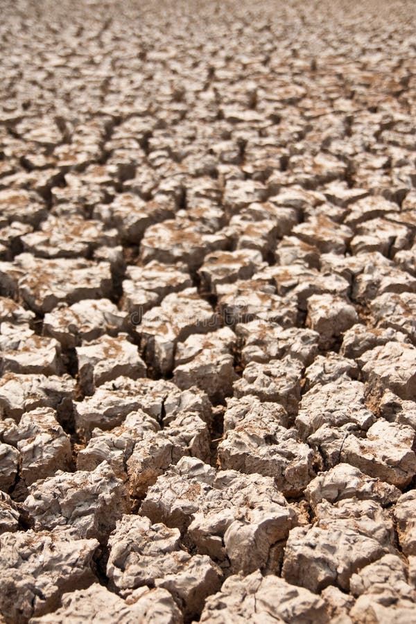 Broken soil in dry season