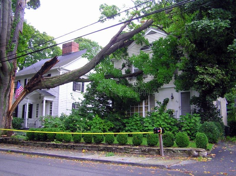 Broken tree on house - hurricane damage stock photography Broken tree on house - hurricane damage stock photography