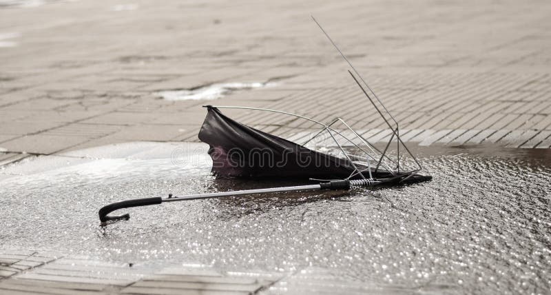 lost umbrella lost umbrella
