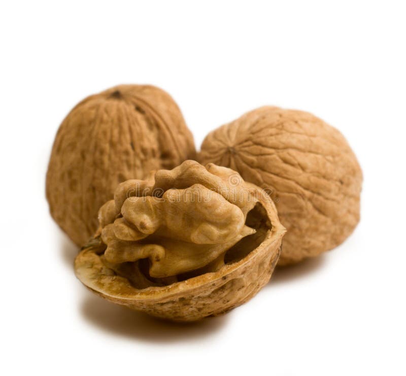 Broken walnut isolated stock image. Image of proteins - 27761843