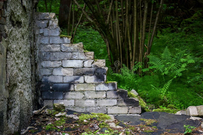 Broken weathered white brick building wall in forest