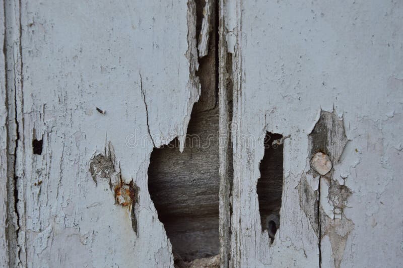 Broken white wooden door stock photo. Image of house 64147604