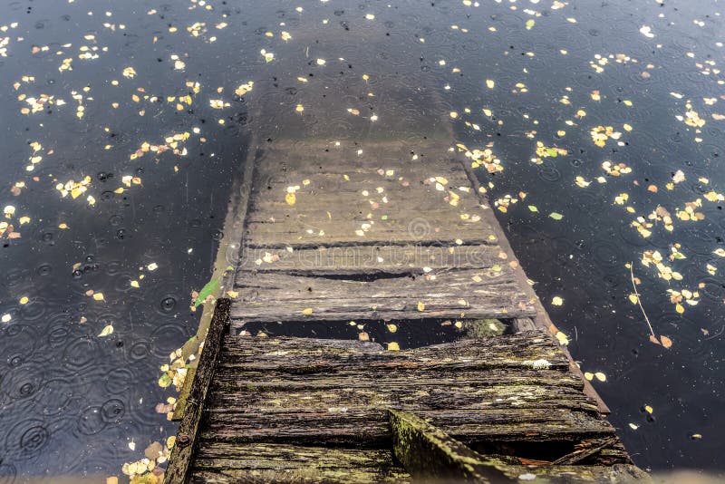 Broken Wooden Bridge Falling In A Lake In Rainy Day Stock Image Image