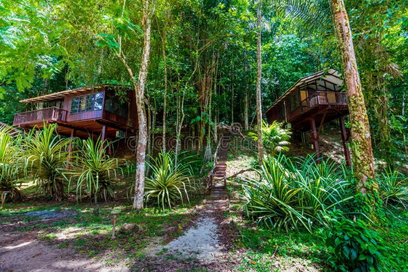 Brokopondo, Suriname - August 2019: Two Bungalows In South American Jungle.