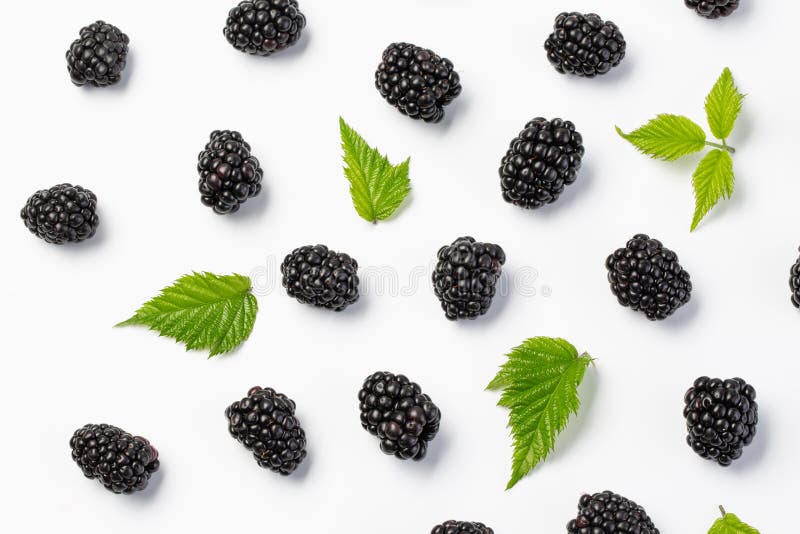 Brombeer- und der BlätterDraufsicht stockfotos Brombeer- und der BlätterDraufsicht stockfotos