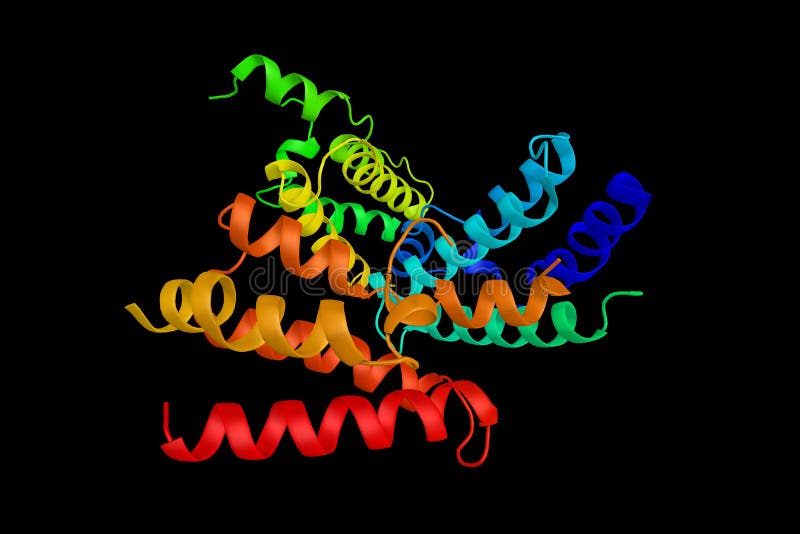 Bromodomain testis-specific protein. It controls the genome-wid