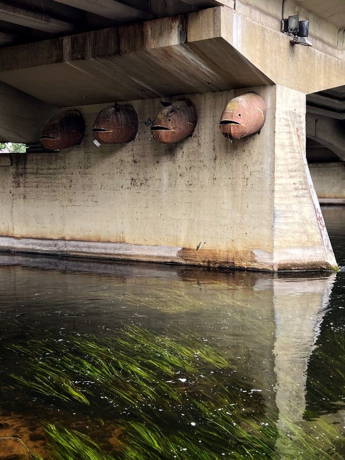 Bron i Anyksciai. Konkreta brokonstruktioner med cylindriska dräneringsrör som sticker ut från sidan ovanför en flod. Rören är rostfärgad metall med vatten som kan strömma genom dem under regn. Under vattnet avspeglar bron och visar gröna vattenlevande växter. Vattenytan visar rörelse med ett mjukt flöde. Bygget förstärks med synligt stål och betong som anger en teknisk konstruktion som ger stöd för betydande vikt och hantering av vattenflödet under bron.. Inställningen tyder på funktionalitet och hållbarhet i infrastrukturen.
