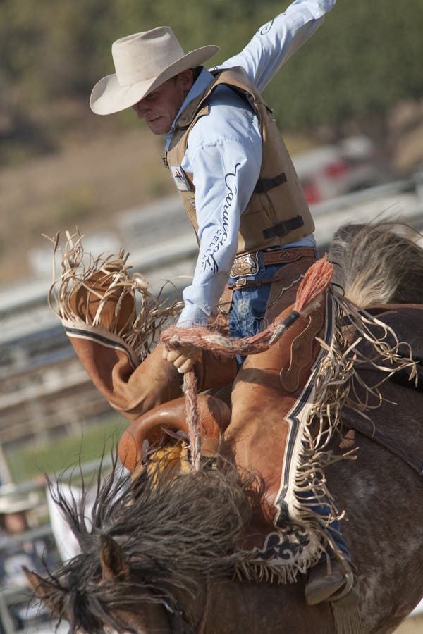 Bronc della sella del rodeo del San Dimas fotografia stock libera da diritti Bronc della sella del rodeo del San Dimas fotografia stock libera da diritti