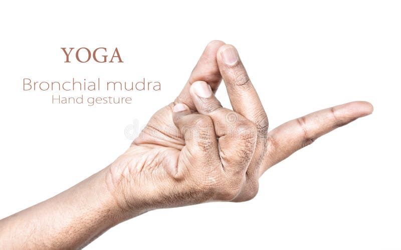 Bronchial mudra