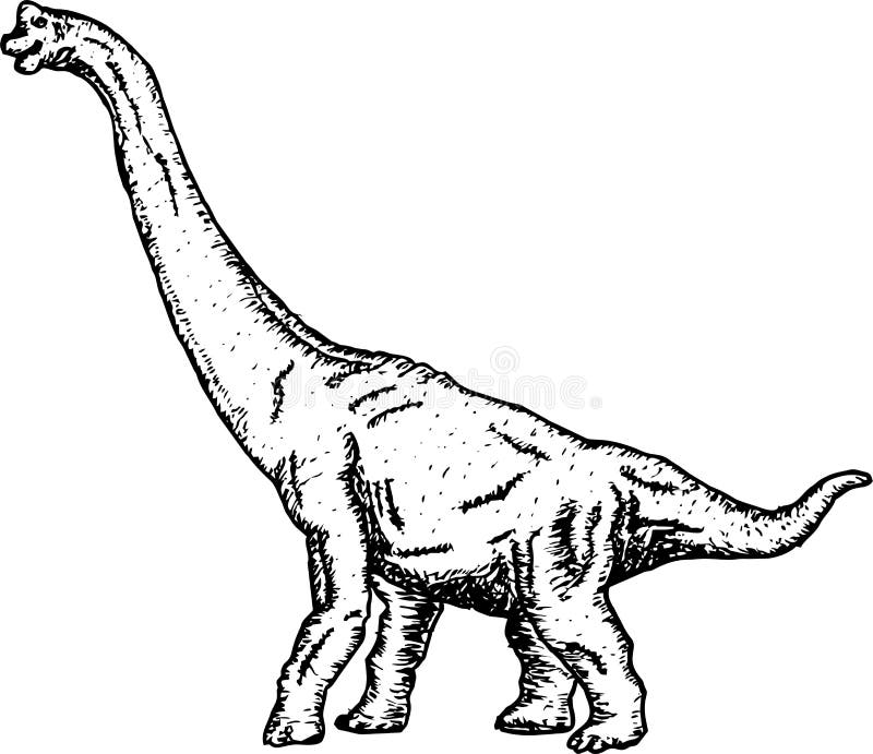 Brontosaurus Sketch Vector Illustration