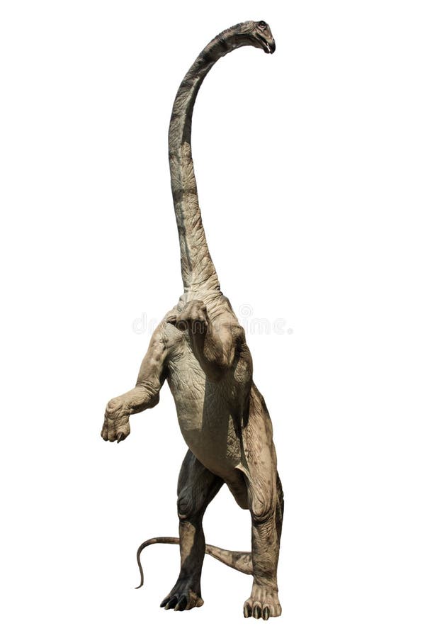 Dinossauro Estegossauro Em Fundo Isolado PNG , Antigo, Jurássico