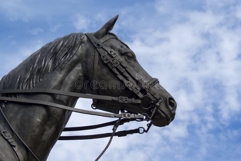 Bronze Horse Head