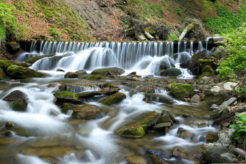 Brook in the forest stock images Brook in the forest stock images