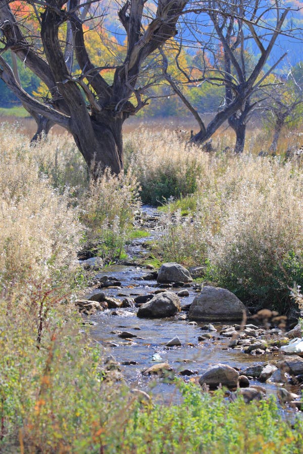 Brook in Mavrovo region