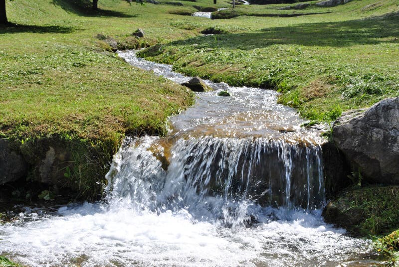 Brook in the meadows