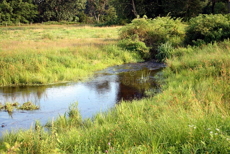 A brook runs through it