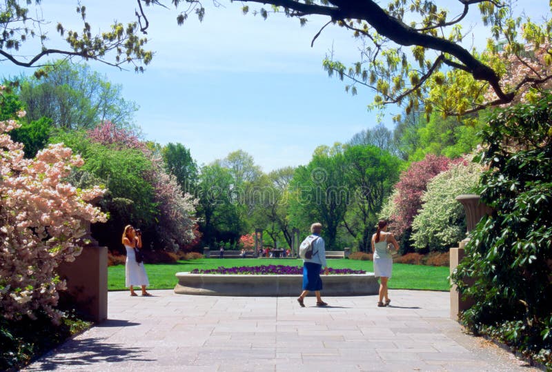 Brooklynbotanischer Garten Stockbild Bild von frau, grenzstein 2447129