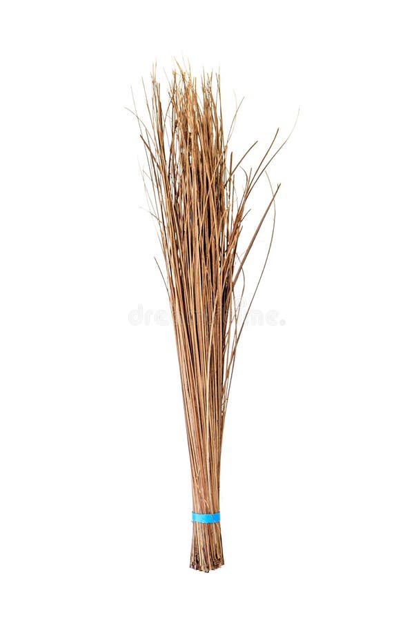 Broom Make From Coconut Leaf,Handmade Product Stock Photo Image 31449796