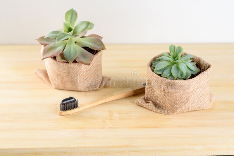 Brosse à dents en bambou avec la pâte dentifrice de charbon de bois image stock Brosse à dents en bambou avec la pâte dentifrice de charbon de bois image stock