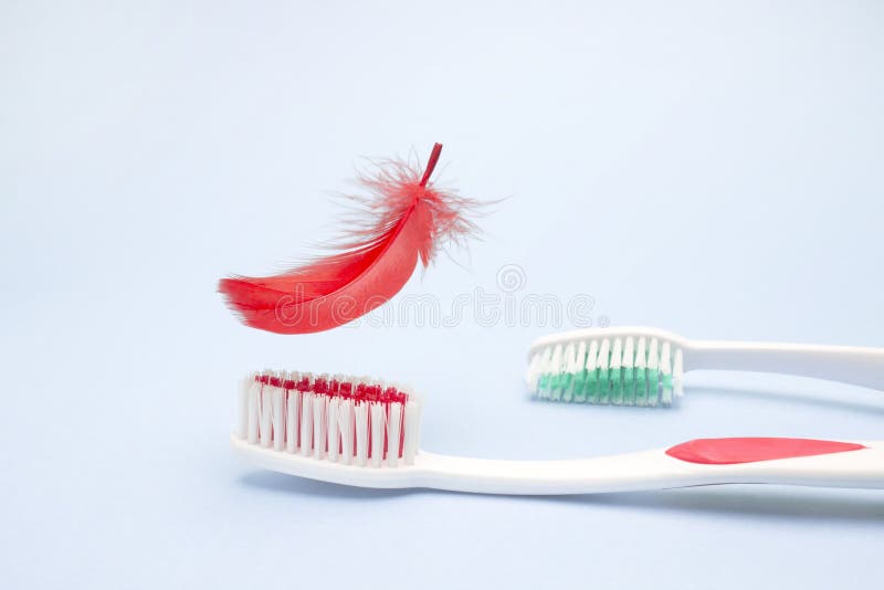 Tooth brushes and a feather. Periodontitis, gingivitis, bleeding gums, hygiene conception photo of periodontal disease. Dental care and toothache. Avoid propblems of teeth and gums. Hygiene prevention. Tooth brushes and a feather. Periodontitis, gingivitis, bleeding gums, hygiene conception photo of periodontal disease. Dental care and toothache. Avoid propblems of teeth and gums. Hygiene prevention