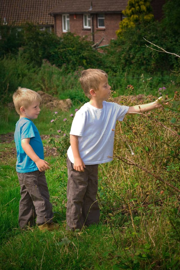 Brothers in the field