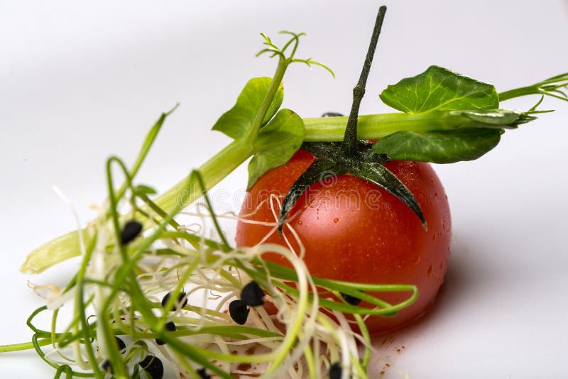 Brotos do tomate e do verde de cereja fotografia de stock Brotos do tomate e do verde de cereja fotografia de stock