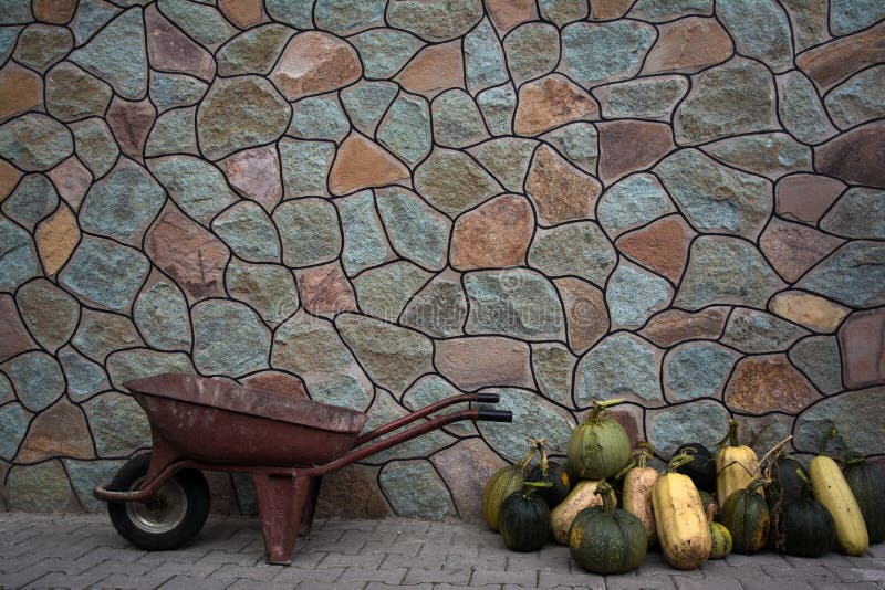 Brouette et potirons près du mur en pierre