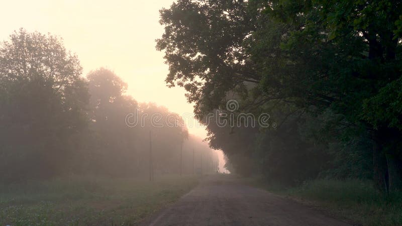 Brouillard au-dessus de route de campagne au lever de soleil en été