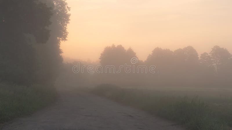 Brouillard au-dessus de route de campagne au lever de soleil en été