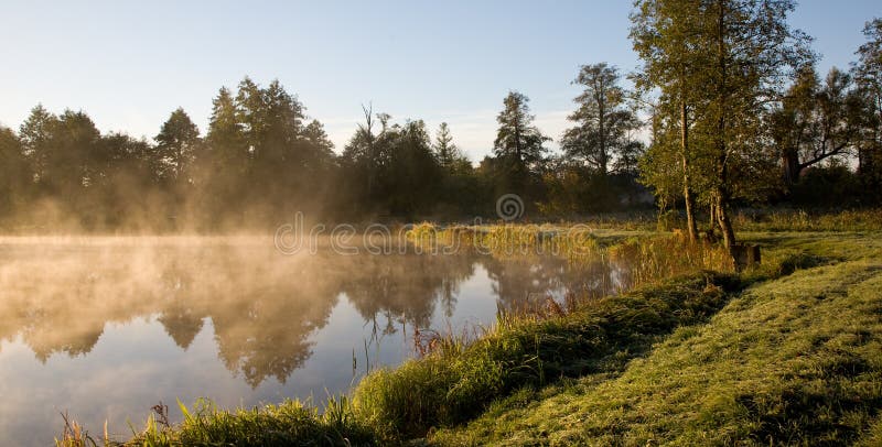 Brouillard d'or de matin au-dessus d'étang image stock Brouillard d'or de matin au-dessus d'étang image stock