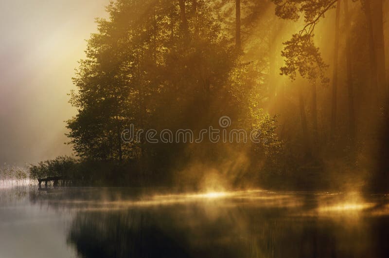 Scenic landscape of sun rays shine through mist over lake near forest. Scenic landscape of sun rays shine through mist over lake near forest