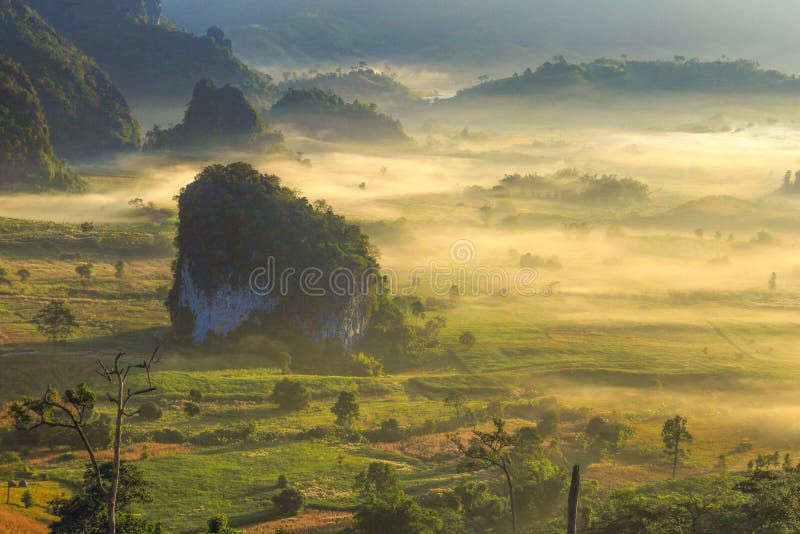 Brouillard de lever de soleil images libres de droits Brouillard de lever de soleil images libres de droits