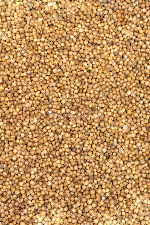 Brown Background of Mustard Grains Stock Photo Image of organic
