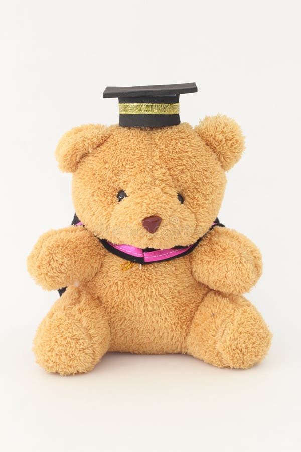 Brown Bear Wearing a Graduation Cap. Stock Photo Image of certificate