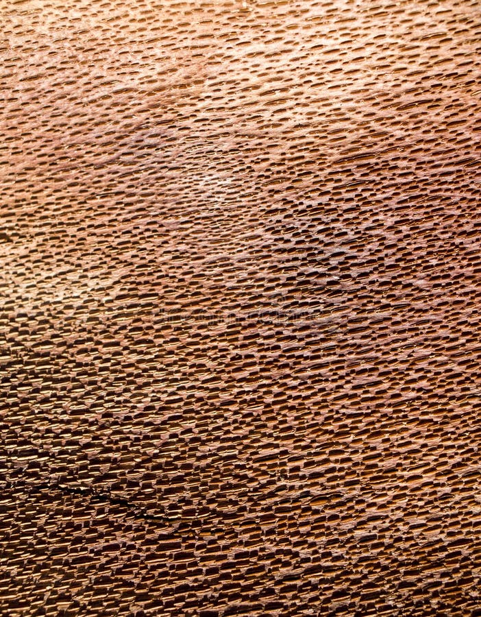 Brown beech bark inside closeup royalty free stock photos